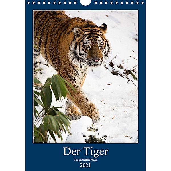 Der Tiger - ein gestreifter Jäger (Wandkalender 2021 DIN A4 hoch), Cloudtail the Snow Leopard