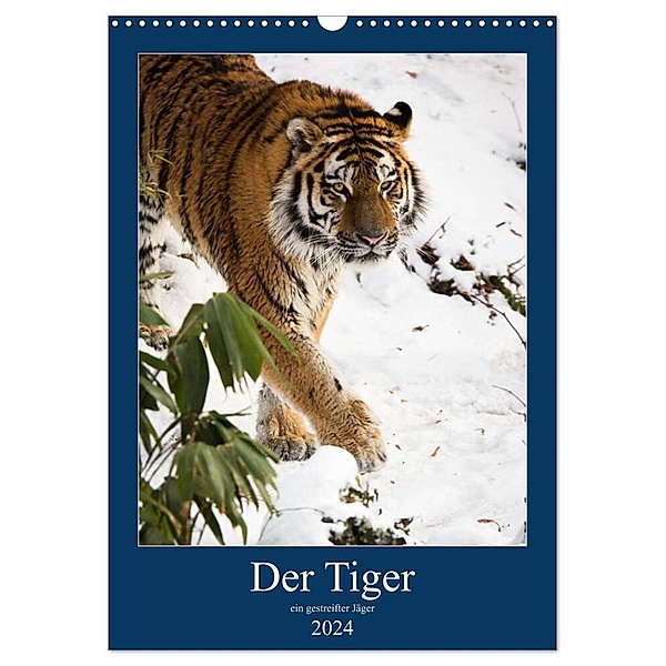 Der Tiger - ein gestreifter Jäger (Wandkalender 2024 DIN A3 hoch), CALVENDO Monatskalender, Cloudtail the Snow Leopard