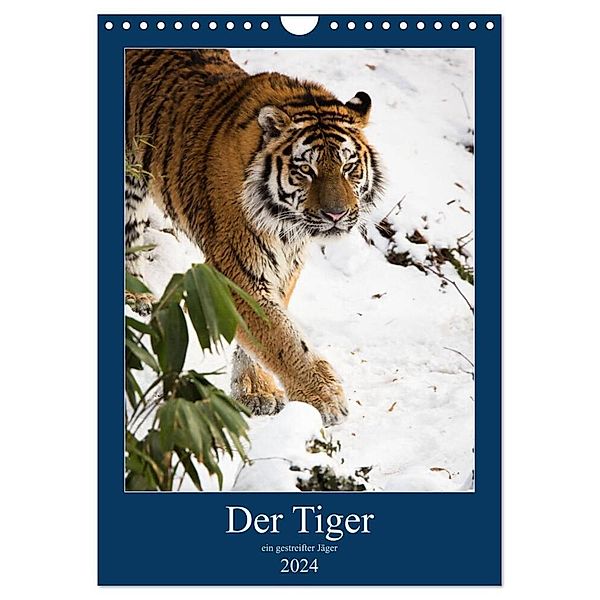 Der Tiger - ein gestreifter Jäger (Wandkalender 2024 DIN A4 hoch), CALVENDO Monatskalender, Cloudtail the Snow Leopard
