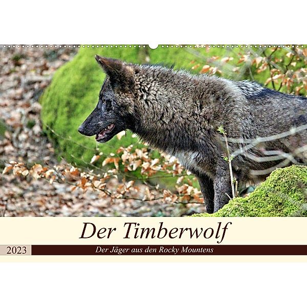 Der Timberwolf - Der Jäger aus den Rocky Mountains (Wandkalender 2023 DIN A2 quer), Arno Klatt