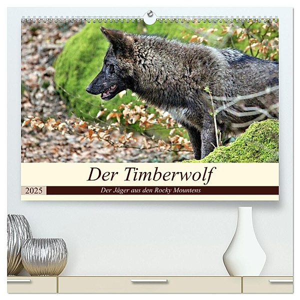 Der Timberwolf - Der Jäger aus den Rocky Mountains (hochwertiger Premium Wandkalender 2025 DIN A2 quer), Kunstdruck in Hochglanz, Calvendo, Arno Klatt