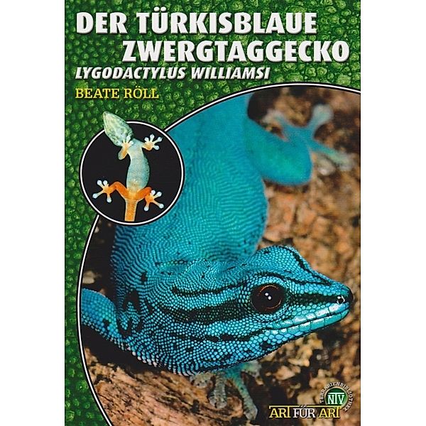 Der Türkisblaue Zwergtaggecko, Beate Röll