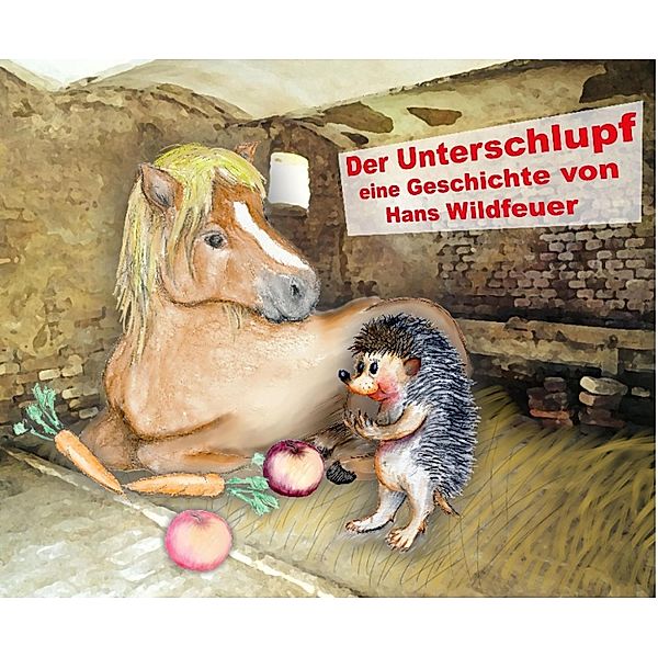 Der Unterschlupf, Hans Wildfeuer