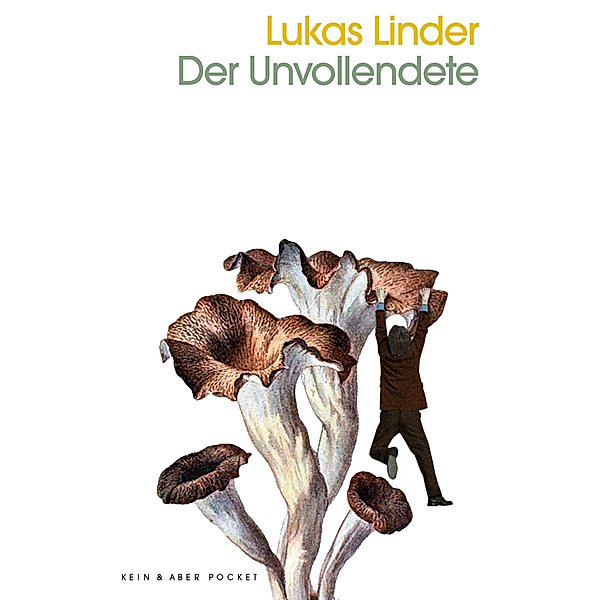 Der Unvollendete, Lukas Linder