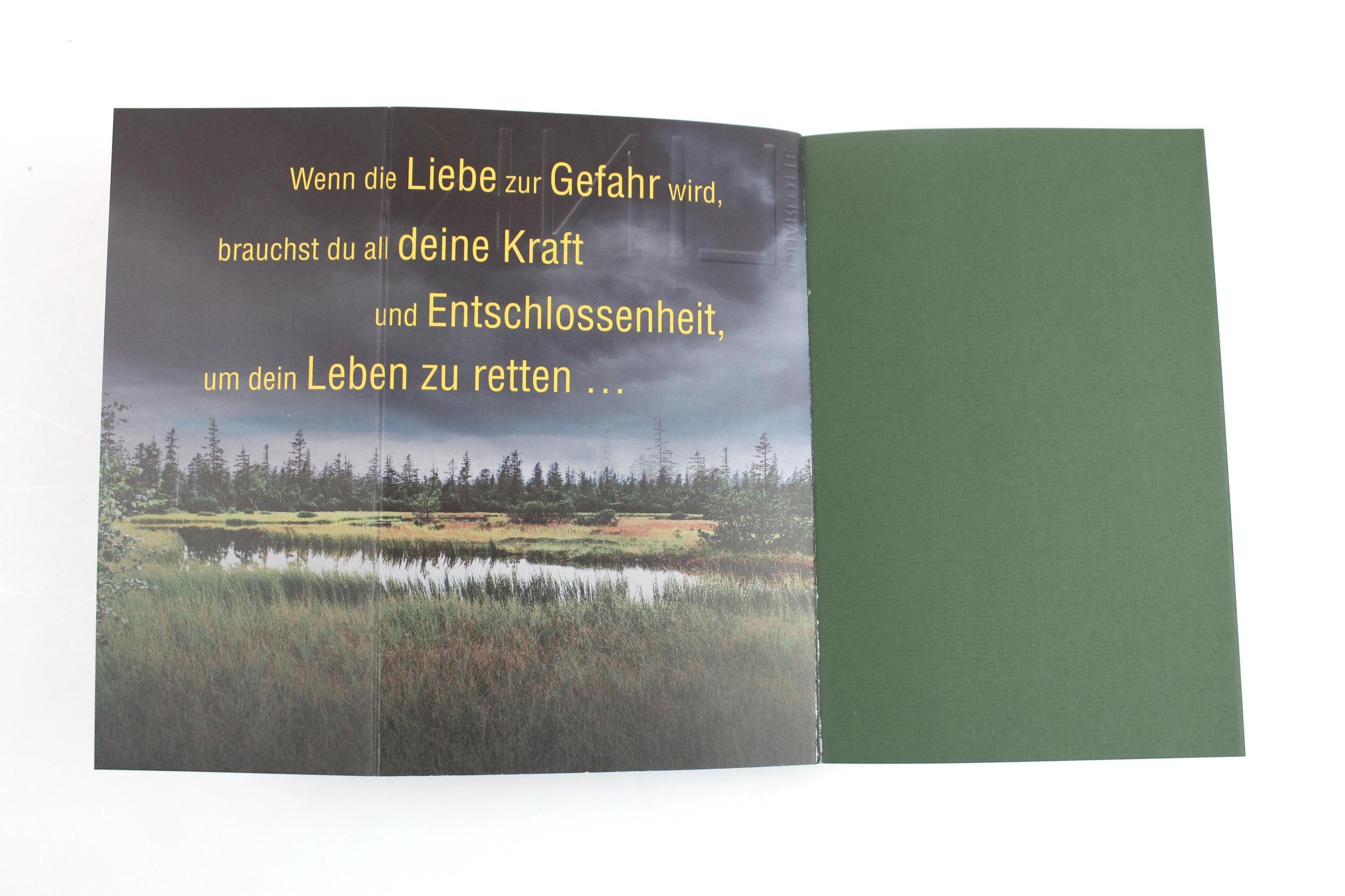 Der Verehrer Buch von Charlotte Link versandkostenfrei bei Weltbild.de