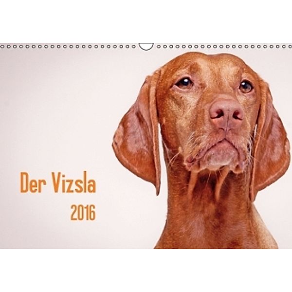 Der Vizsla 2016 (Wandkalender 2016 DIN A3 quer), Susanne Stark