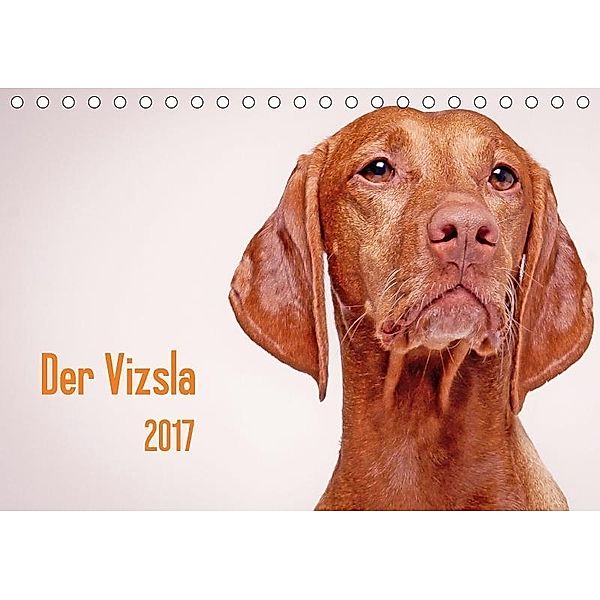 Der Vizsla 2017 (Tischkalender 2017 DIN A5 quer), Susanne Stark