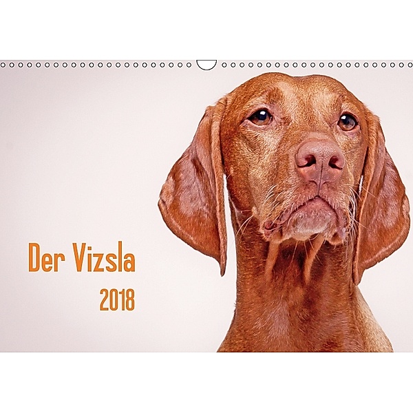 Der Vizsla 2018 (Wandkalender 2018 DIN A3 quer), Susanne Stark