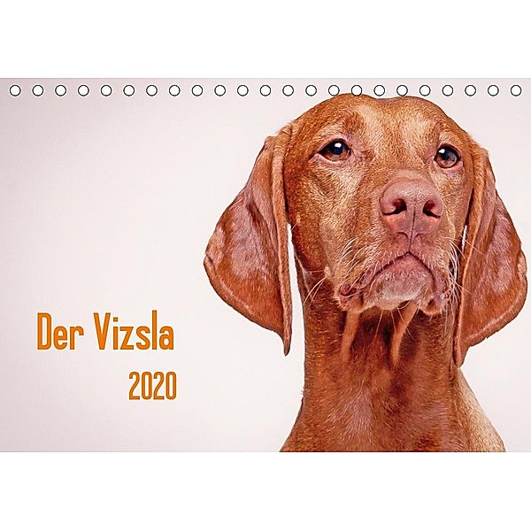 Der Vizsla 2020 (Tischkalender 2020 DIN A5 quer), Susanne Stark