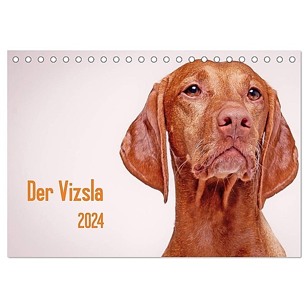 Der Vizsla 2024 (Tischkalender 2024 DIN A5 quer), CALVENDO Monatskalender, Susanne Stark