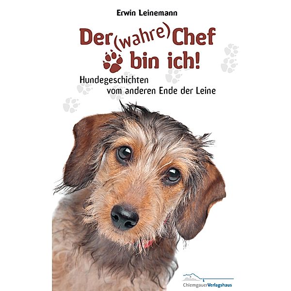 Der wahre Chef bin ich!, Erwin Leinemann