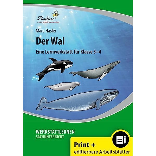 Der Wal, m. 1 Beilage, Mara Hasler