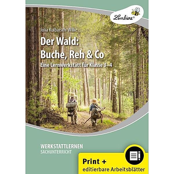 Der Wald: Buche, Reh & Co, Julia Kulbarsch-Wilke