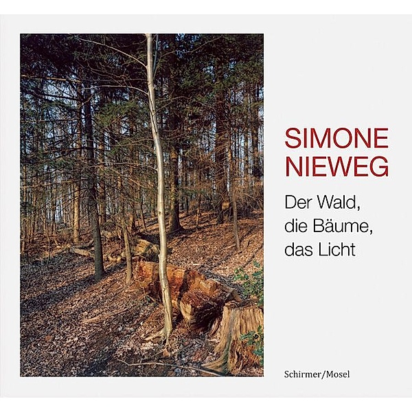 Der Wald, die Bäume, das Licht, Simone Nieweg