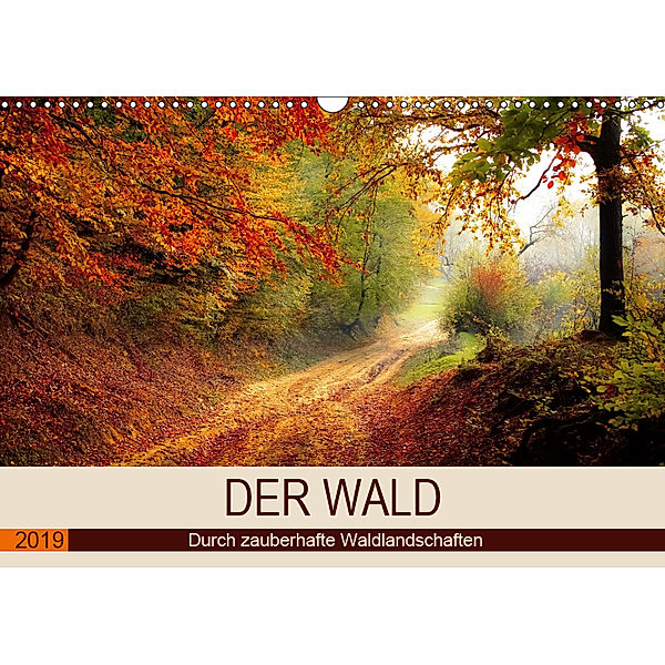 Der Wald. Durch zauberhafte Waldlandschaften (Wandkalender 2019 DIN A3 quer), Rose Hurley