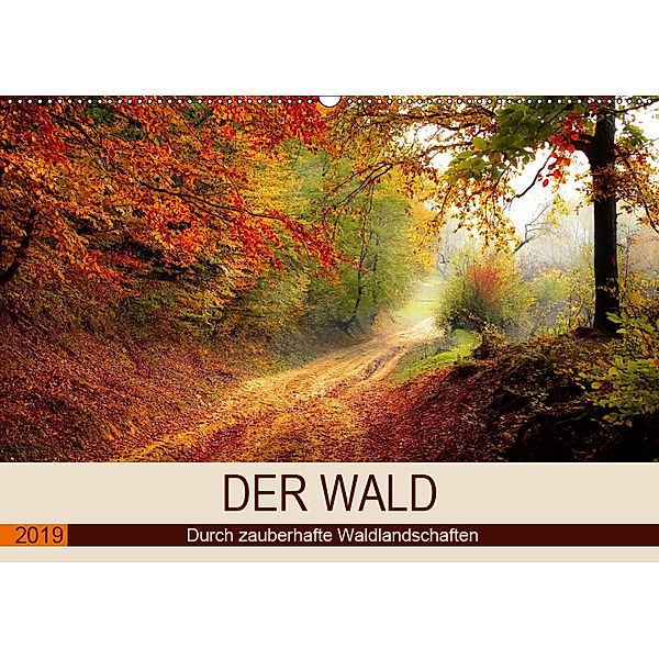 Der Wald. Durch zauberhafte Waldlandschaften (Wandkalender 2019 DIN A2 quer), Rose Hurley