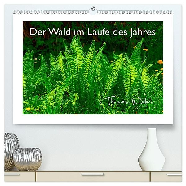 Der Wald im Laufe des Jahres (hochwertiger Premium Wandkalender 2024 DIN A2 quer), Kunstdruck in Hochglanz, Thomas Willerer