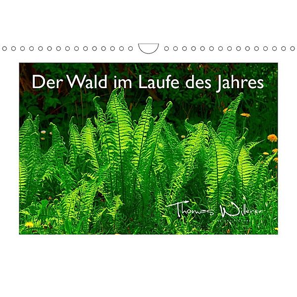 Der Wald im Laufe des Jahres (Wandkalender 2021 DIN A4 quer), Thomas Willerer