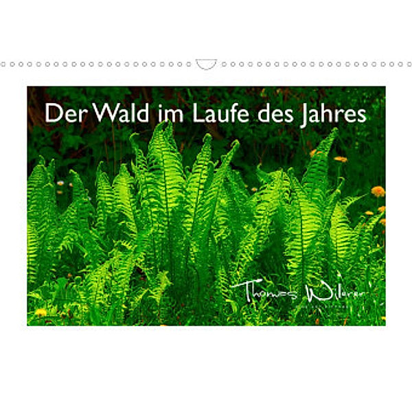 Der Wald im Laufe des Jahres (Wandkalender 2022 DIN A3 quer), Thomas Willerer