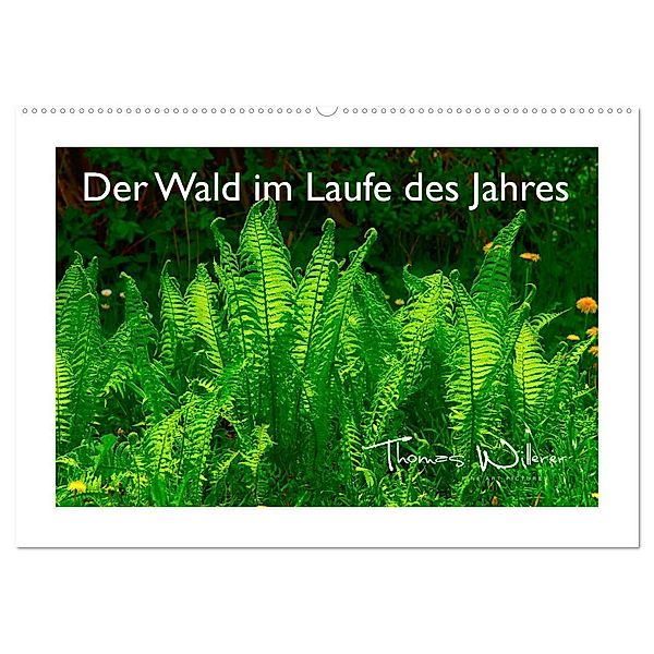 Der Wald im Laufe des Jahres (Wandkalender 2024 DIN A2 quer), CALVENDO Monatskalender, Thomas Willerer