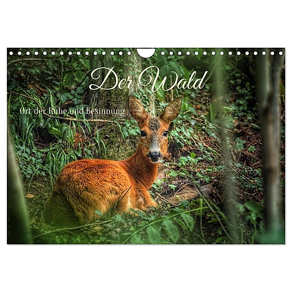 Der Wald - Ort der Ruhe und Besinnung (Wandkalender 2025 DIN A4 quer), CALVENDO Monatskalender, Calvendo, Christine Wirges