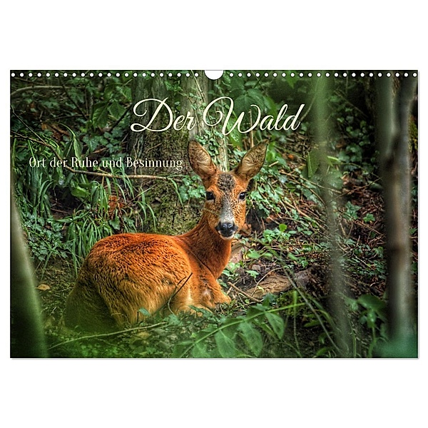 Der Wald - Ort der Ruhe und Besinnung (Wandkalender 2025 DIN A3 quer), CALVENDO Monatskalender, Calvendo, Christine Wirges