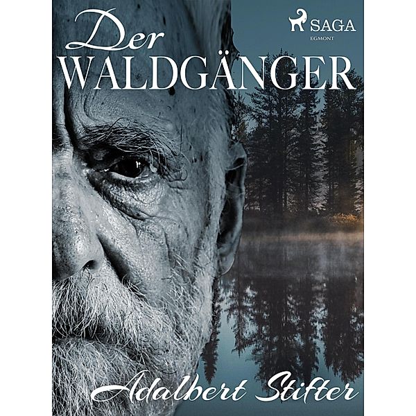 Der Waldgänger, Adalbert Stifter