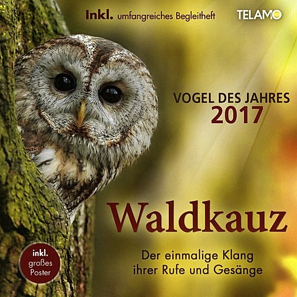 Der Waldkauz, Vogel Des Jahres 2017