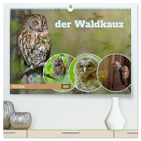 der Waldkauz - Strix Aluco (hochwertiger Premium Wandkalender 2024 DIN A2 quer), Kunstdruck in Hochglanz, Calvendo, Andreas Freund