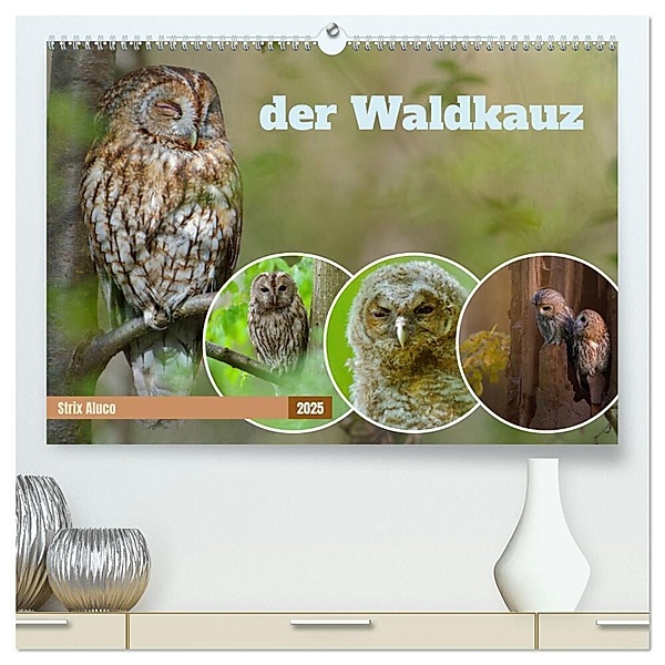 der Waldkauz - Strix Aluco (hochwertiger Premium Wandkalender 2025 DIN A2 quer), Kunstdruck in Hochglanz, Calvendo, Andreas Freund