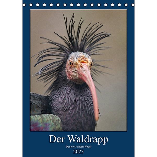 Der Waldrapp - Der etwas andere Vogel (Tischkalender 2023 DIN A5 hoch), Cloudtail the Snow Leopard