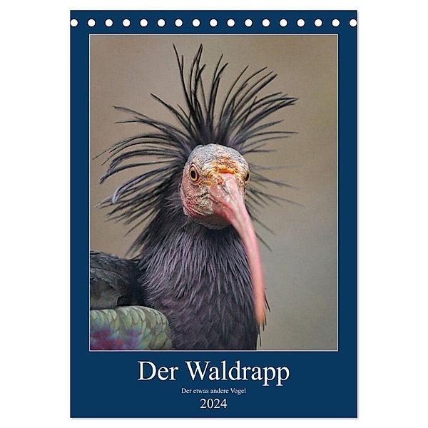 Der Waldrapp - Der etwas andere Vogel (Tischkalender 2024 DIN A5 hoch), CALVENDO Monatskalender, Cloudtail the Snow Leopard