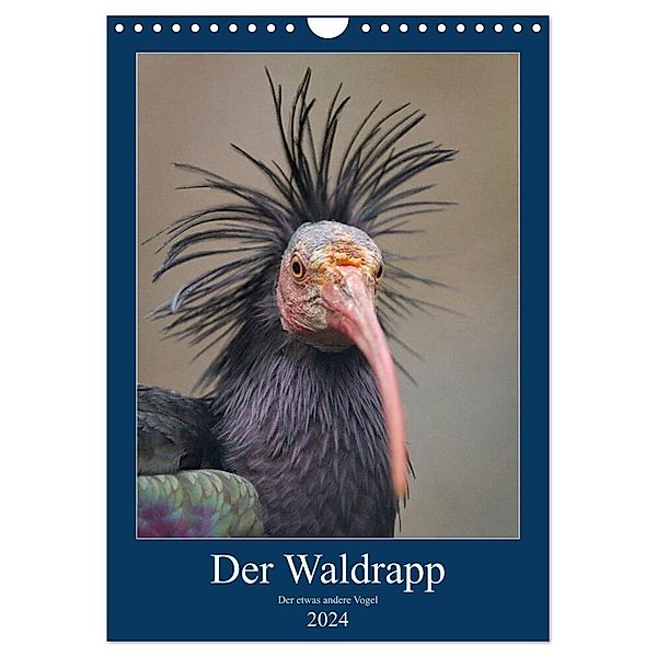 Der Waldrapp - Der etwas andere Vogel (Wandkalender 2024 DIN A4 hoch), CALVENDO Monatskalender, Cloudtail the Snow Leopard