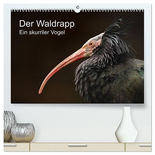 Der Waldrapp - Ein skurriler Vogel (hochwertiger Premium Wandkalender 2025 DIN A2 quer), Kunstdruck in Hochglanz, Calvendo, Cloudtail the Snow Leopard