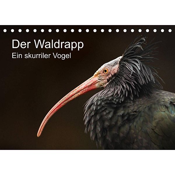 Der Waldrapp - Ein skurriler Vogel (Tischkalender 2023 DIN A5 quer), Cloudtail the Snow Leopard