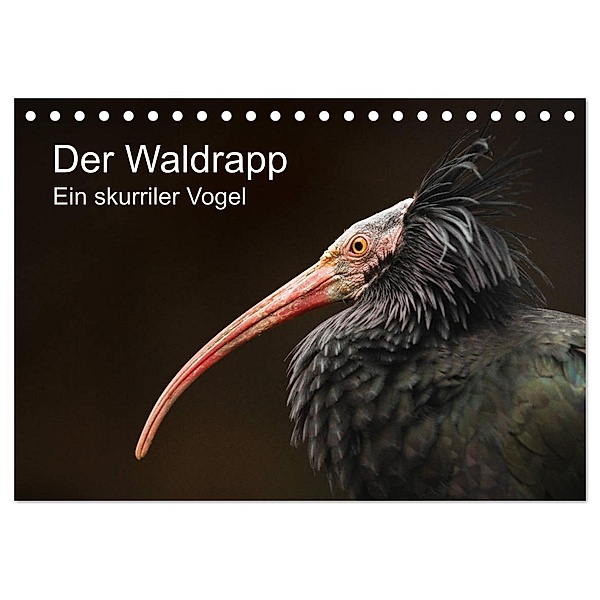 Der Waldrapp - Ein skurriler Vogel (Tischkalender 2024 DIN A5 quer), CALVENDO Monatskalender, Cloudtail the Snow Leopard