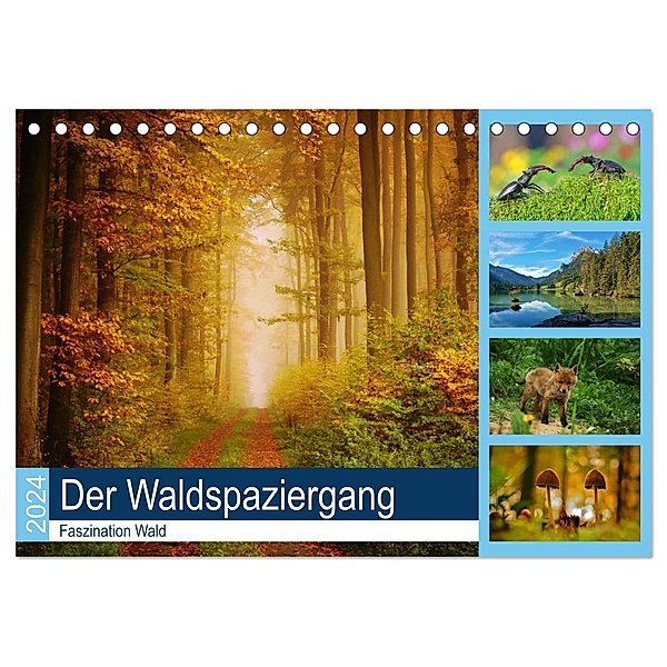 Der Waldspaziergang (Tischkalender 2024 DIN A5 quer), CALVENDO Monatskalender, Lutz Klapp