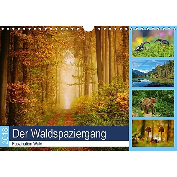 Der Waldspaziergang (Wandkalender 2018 DIN A4 quer) Dieser erfolgreiche Kalender wurde dieses Jahr mit gleichen Bildern, Lutz Klapp