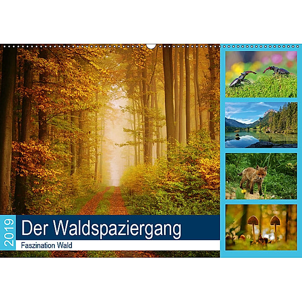 Der Waldspaziergang (Wandkalender 2019 DIN A2 quer), Lutz Klapp