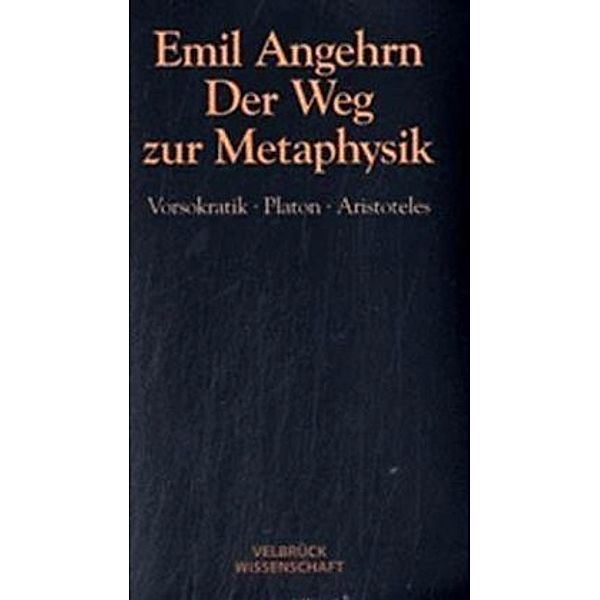 Der Weg zur Metaphysik - Studienausgabe, Emil Angehrn