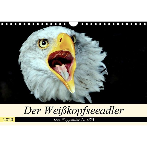 Der Weißkopfseeadler - Das Wappentier der USA (Wandkalender 2020 DIN A4 quer), Arno Klatt