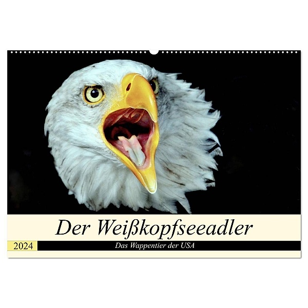 Der Weißkopfseeadler - Das Wappentier der USA (Wandkalender 2024 DIN A2 quer), CALVENDO Monatskalender, Arno Klatt