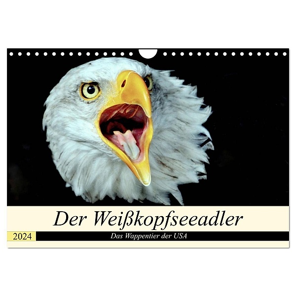 Der Weißkopfseeadler - Das Wappentier der USA (Wandkalender 2024 DIN A4 quer), CALVENDO Monatskalender, Arno Klatt