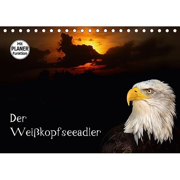 Der Weißkopfseeadler (Tischkalender 2017 DIN A5 quer), Arno Klatt