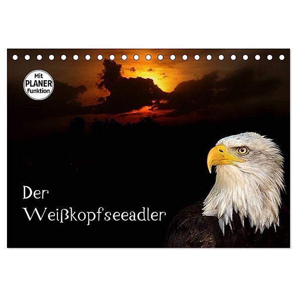 Der Weißkopfseeadler (Tischkalender 2025 DIN A5 quer), CALVENDO Monatskalender, Calvendo, Arno Klatt