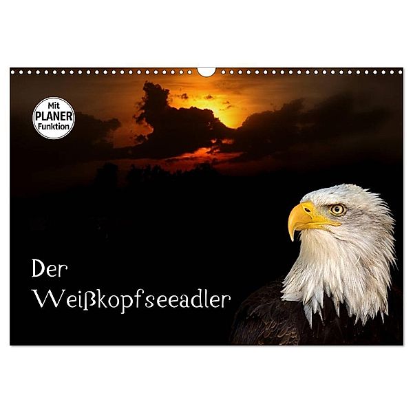 Der Weisskopfseeadler (Wandkalender 2024 DIN A3 quer), CALVENDO Monatskalender, Arno Klatt