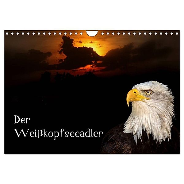 Der Weisskopfseeadler (Wandkalender 2024 DIN A4 quer), CALVENDO Monatskalender, Arno Klatt