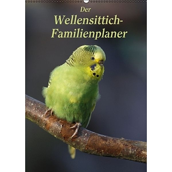 Der Wellensittich-Familienplaner (Wandkalender 2016 DIN A2 hoch), Antje Lindert-Rottke