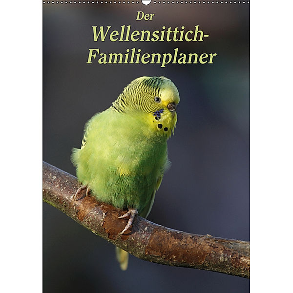 Der Wellensittich-Familienplaner (Wandkalender 2019 DIN A2 hoch), Antje Lindert-Rottke