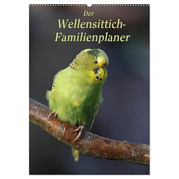 Der Wellensittich-Familienplaner (Wandkalender 2024 DIN A2 hoch), CALVENDO Monatskalender, Antje Lindert-Rottke